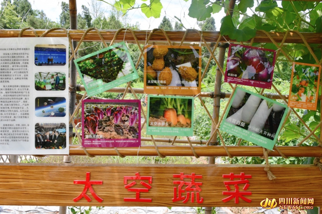 图片7_副本.jpg