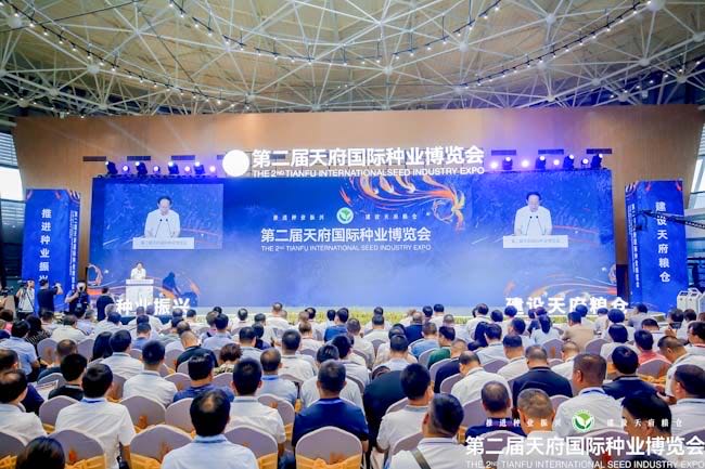 大会现场。主办方供图