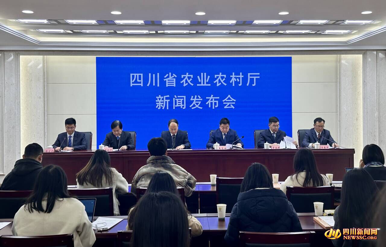 发布会现场_副本.jpg