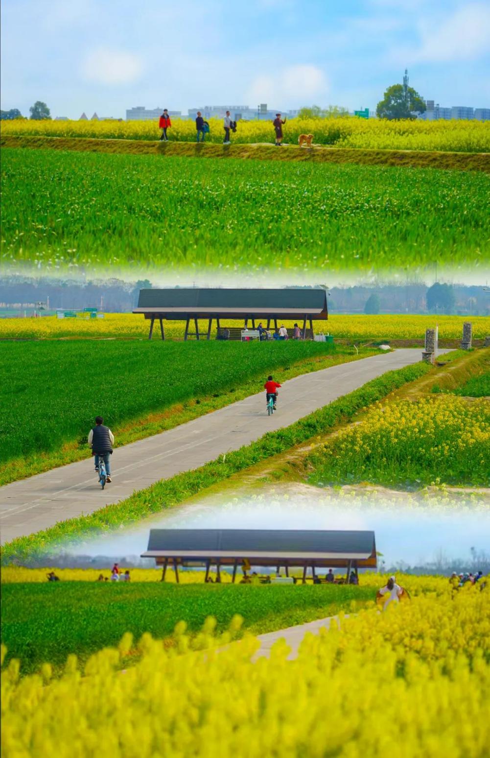 凤求凰.jpg